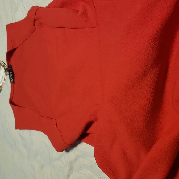 BOOHOO  A Lined Dress - Picture 9 of 10